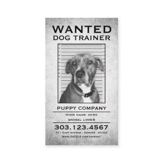 dog trainer wanted poster