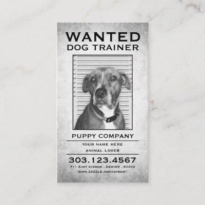 dog trainer wanted poster