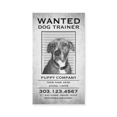 dog trainer wanted poster