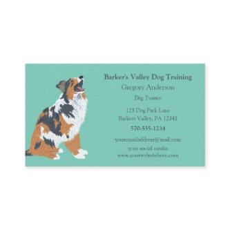 Dog Training, Pet Sitting Australian Shepherd