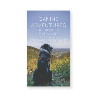 Dog Walker Adventures Walks Or Hikes