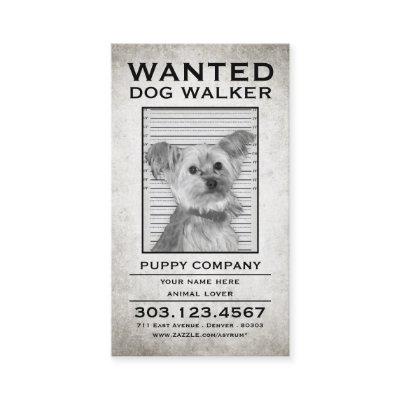 dog walker wanted poster