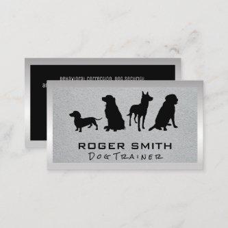 Dogs | Animals Services