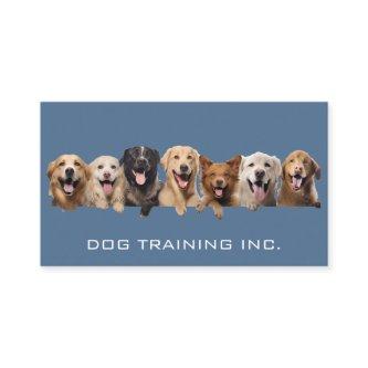 Dogs Smiling | Animal Services