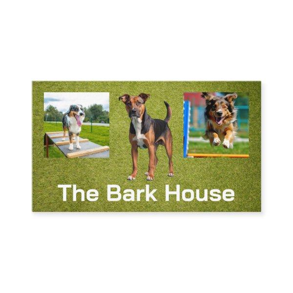 Dogs Training