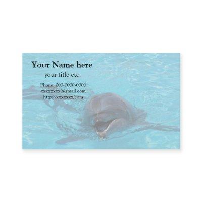 Dolphin , save marine animals Dolphin