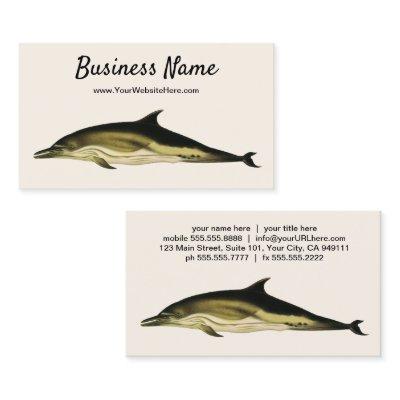 Dolphin Delphinus Delphis, Vintage Marine Mammals