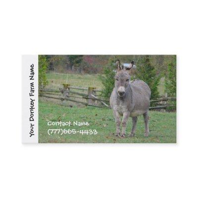 Donkey Farming, Services or Boarding