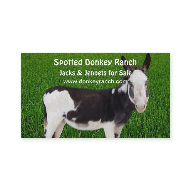 Donkey Ranch