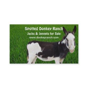 Donkey  Ranch