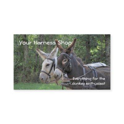 Donkeys being driven in harness