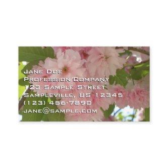 Double Blossoming Cherry Tree II Spring Floral