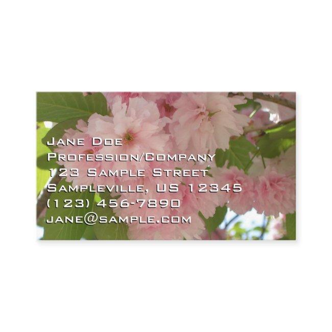 Double Blossoming Cherry Tree II Spring Floral