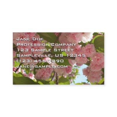 Double Blossoming Cherry Tree III Spring Floral
