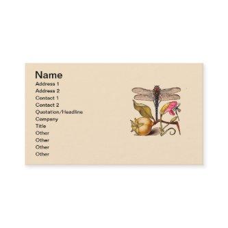 Dragonfly Botanical Nature Wildlife