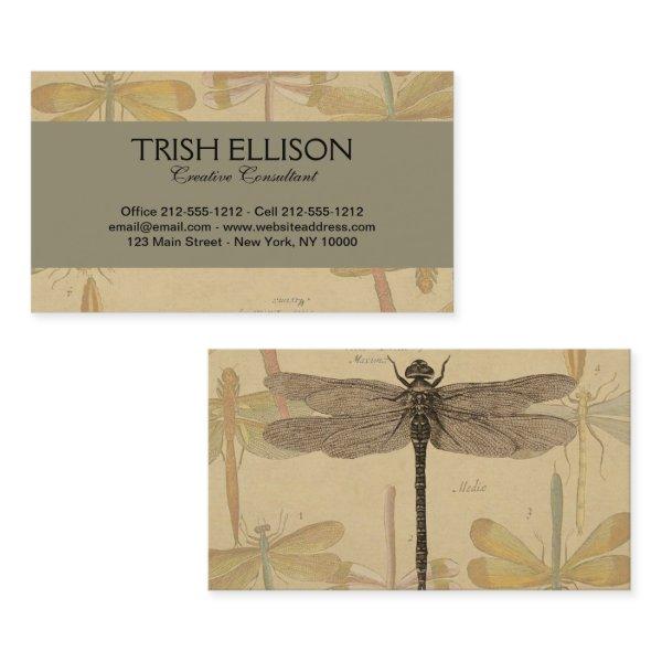 Dragonfly Vintage Antique Classic Nature