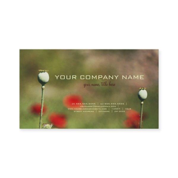 Dramatic Poppy Field