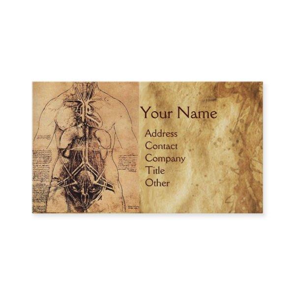 Drawing of Woman’s Torso Antique Brown Parchment