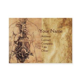 Drawing of Woman’s Torso Antique Brown Parchment