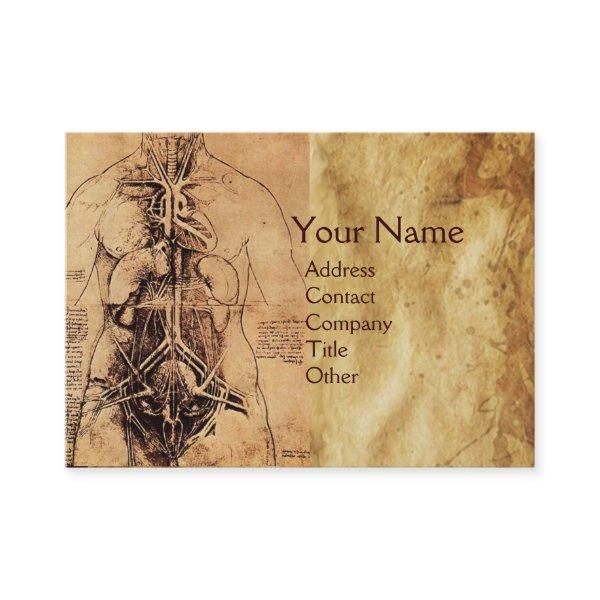 Drawing of Woman’s Torso Antique Brown Parchment