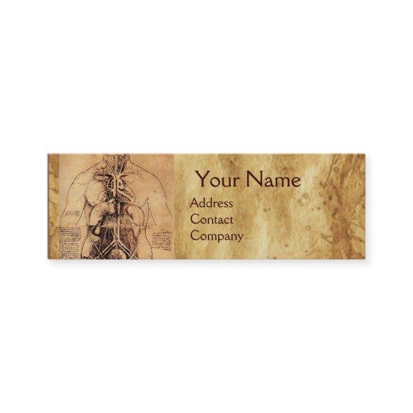 Drawing of Woman’s Torso Antique Brown Parchment Mini