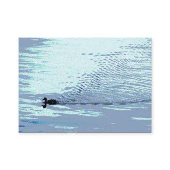 Duck and Ripples ATC