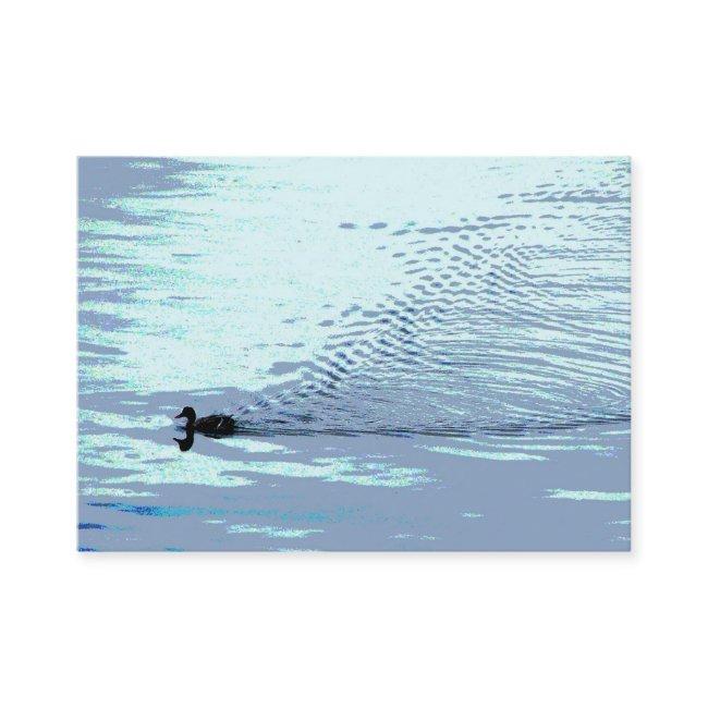 Duck and Ripples ATC