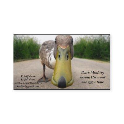 duck