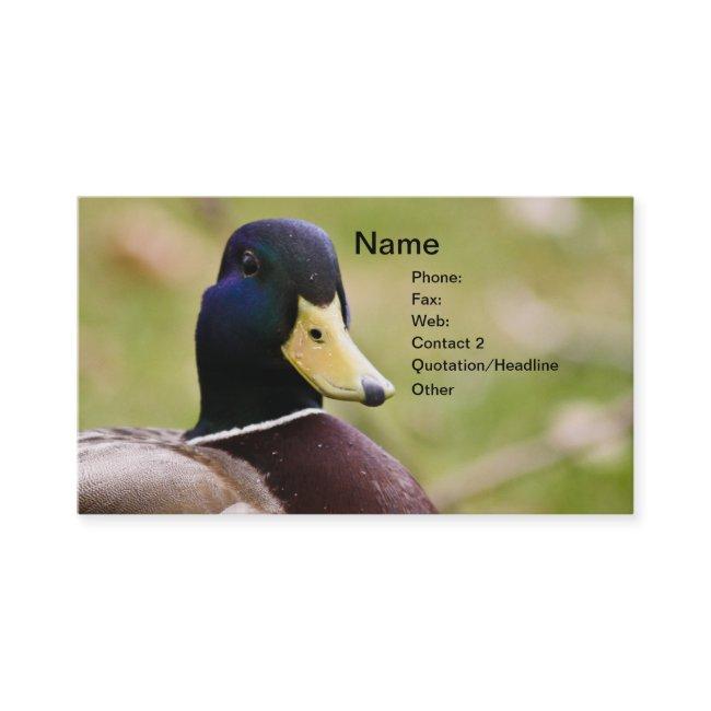 Duck Hunting