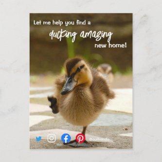 duck wonderful awesome real estate agent marketing postcard