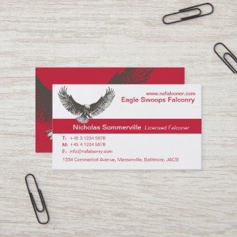 Eagle red & white falconry company