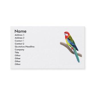 Eastern Rosella Parrot
