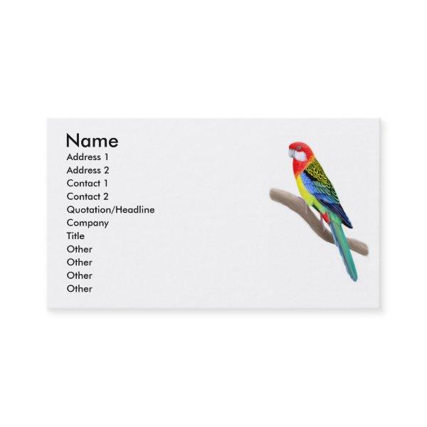 Eastern Rosella Parrot