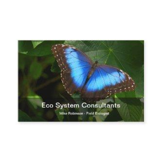 Eco Systems Biologist