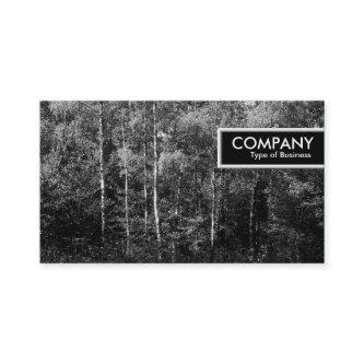 Edge Tag - Silver Birch Trees B&W