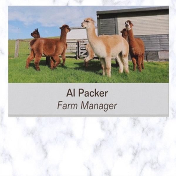 Editable Alpaca Wool Farmer