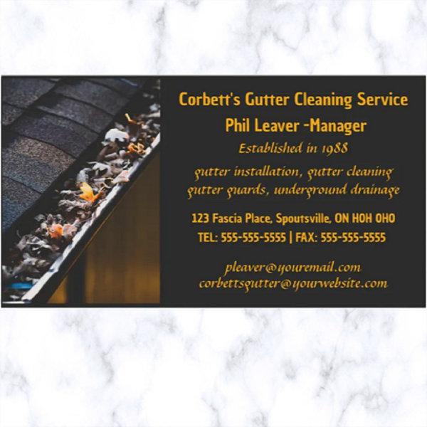Editable Gutter Cleaning
