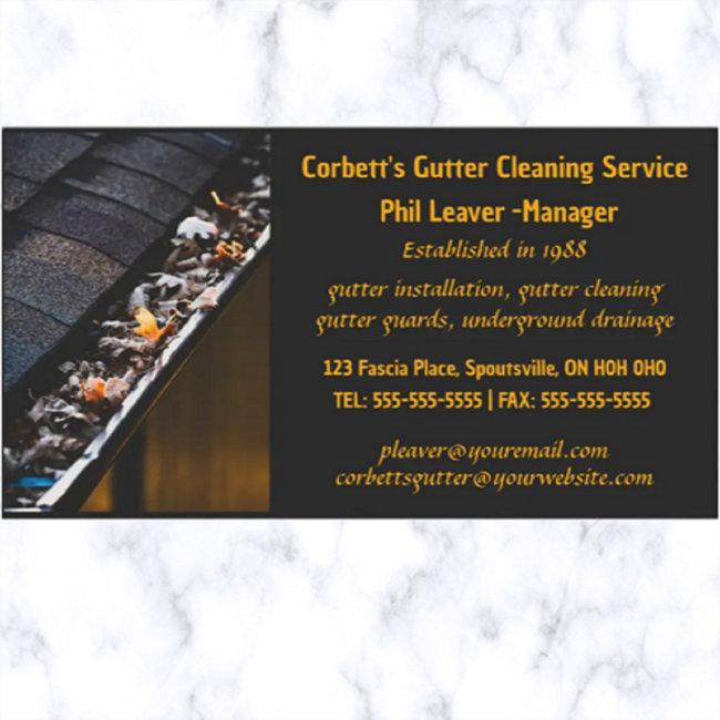 Editable Gutter Cleaning