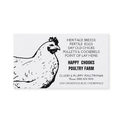 Egg Farm Black and White Chicken