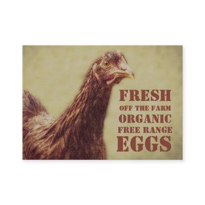 EGGS - Farm Fresh Free Range Organic Egg Farmer