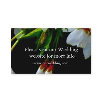 Elegant Black White flowering white Blossom