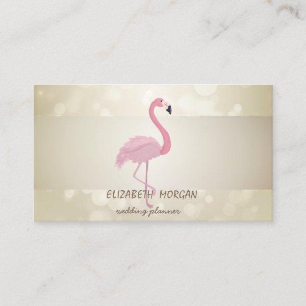 Elegant Bokeh, Stripe, Pink Flamingo