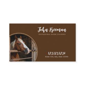 Elegant Brown & White Horse Photo Farm Stables