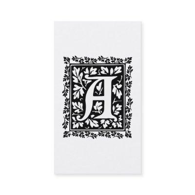 Elegant Medieval Illuminated Manuscript Letter A