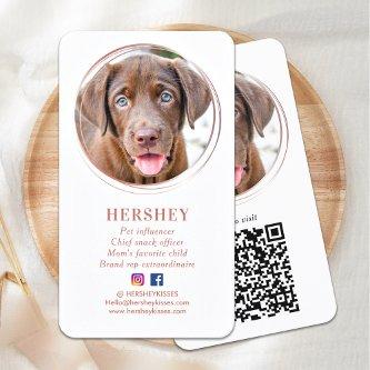 Elegant Photo Rose Gold Dog Pet Social Media