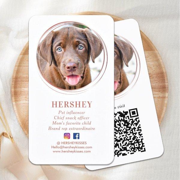 Elegant Photo Rose Gold Dog Pet Social Media