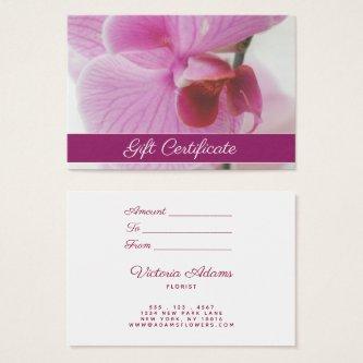 Elegant Pink Orchid Photo | Salon Gift Certificate