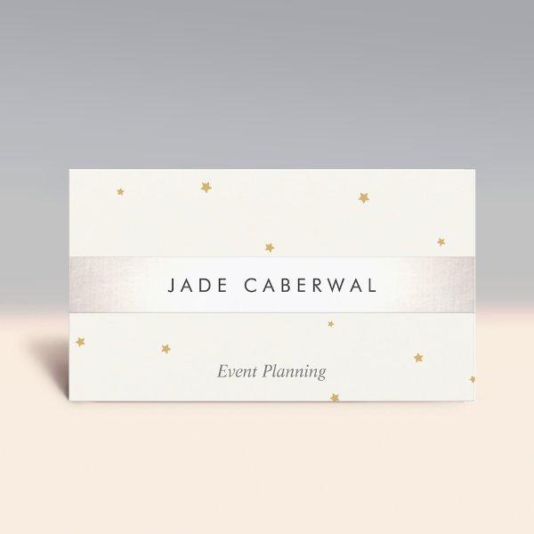Elegant Silver Striped Gold Star Event Planner