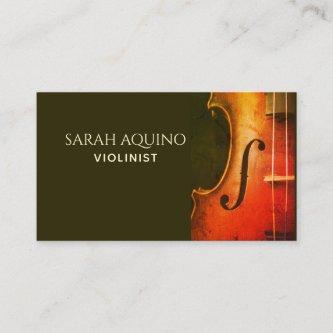 Elegant Violin Violinist Musician Music Teacher