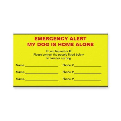 Emergency Alert Dog Home Alone Card
